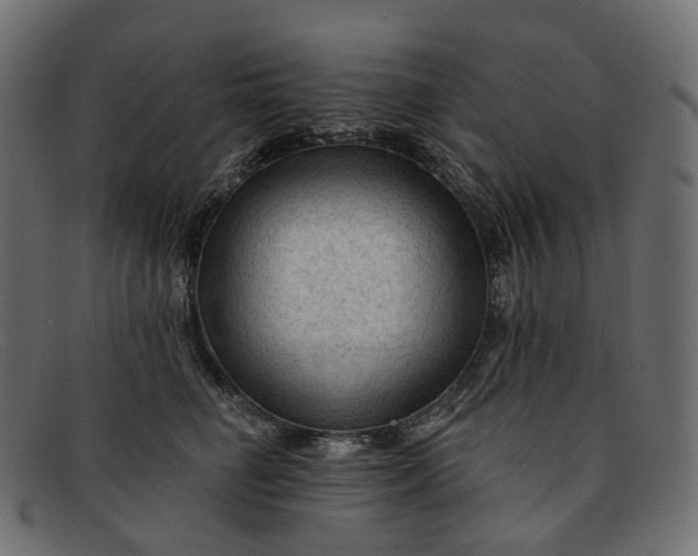 X0000091890662200709191218