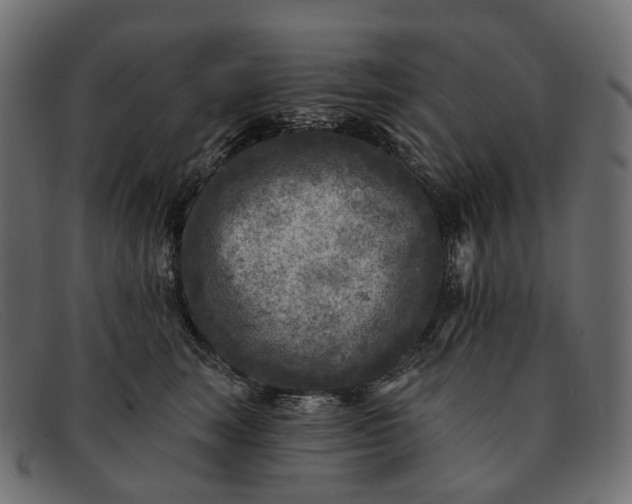 X0000091890663200709191218