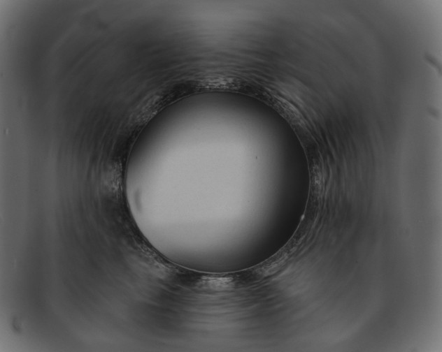 X0000091890665200709191218