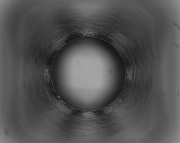 X0000091890666200709191218