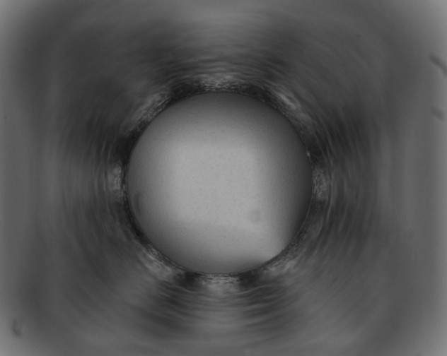 X0000091890670200709191219