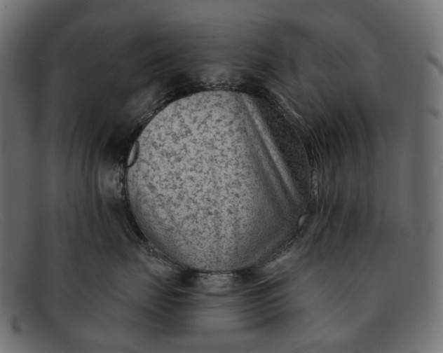 X0000091890671200709191219