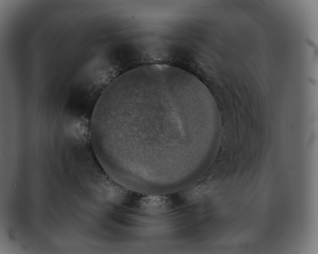 X0000091890672200709191219