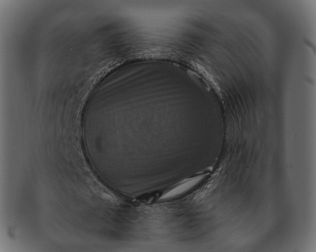 X0000091890673200709191218