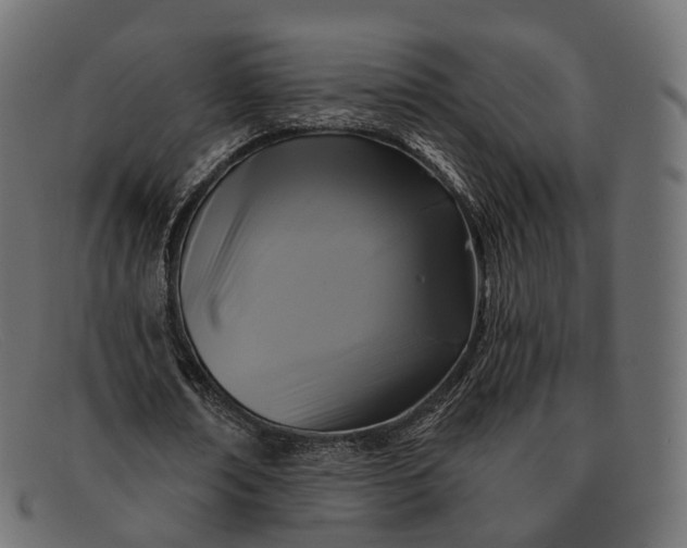 X0000091890674200709191218