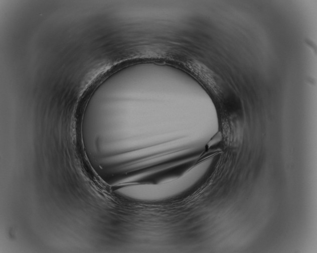X0000091890676200709191218