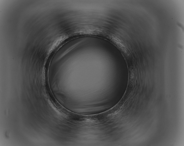 X0000091890678200709191218