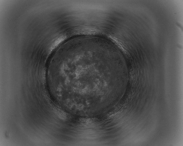 X0000091890679200709191218