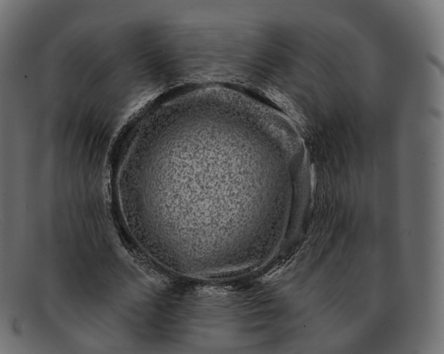 X0000091890680200709191218
