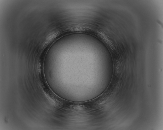 X0000091890683200709191218
