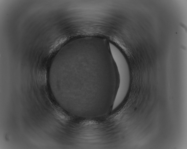 X0000091890685200709191218