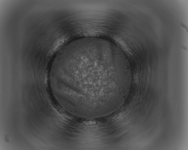 X0000091890687200709191218