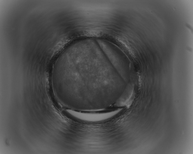 X0000091890688200709191218