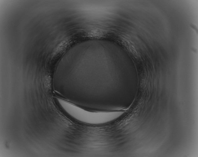 X0000091890689200709191218