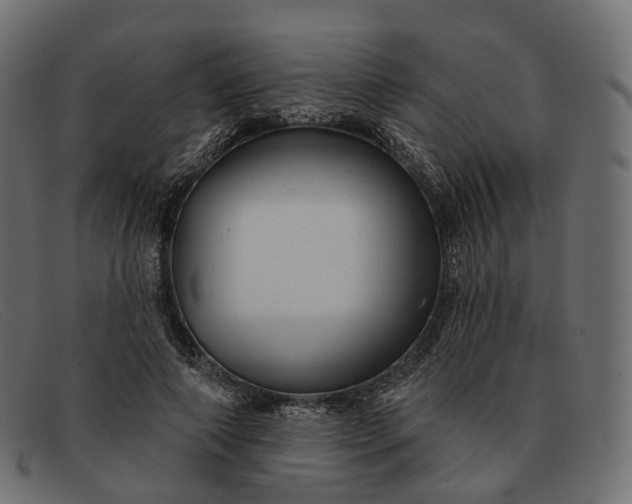 X0000091890690200709191218