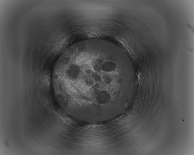 X0000091890691200709191218