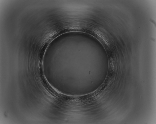 X0000091890692200709191218
