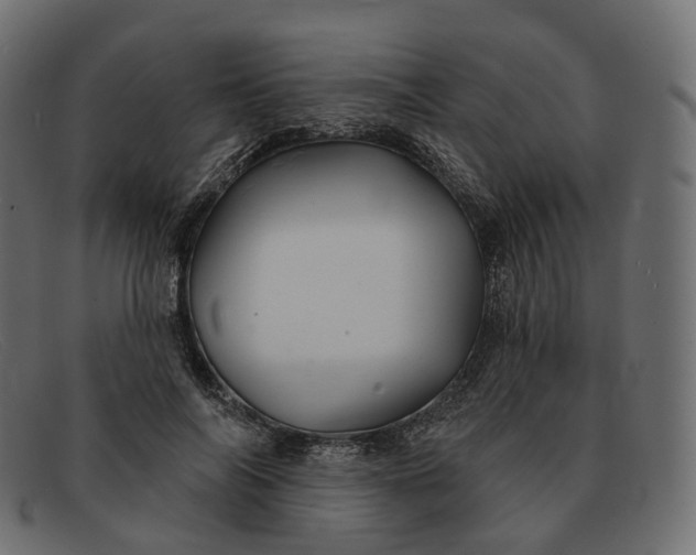 X0000091890694200709191218