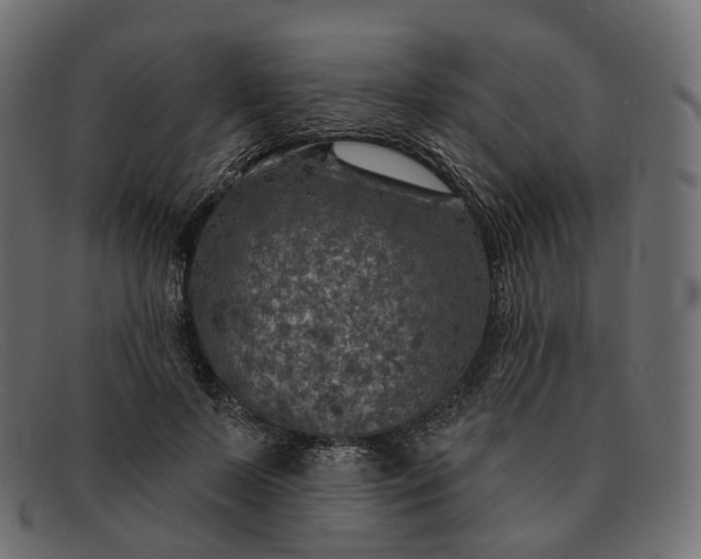 X0000091890695200709191218