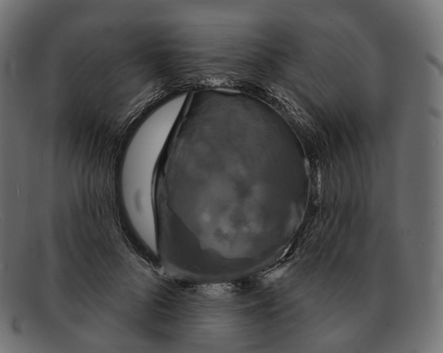 X0000091890696200709191218