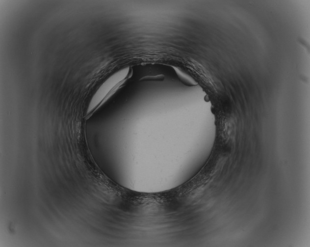 X0000091890697200709191218
