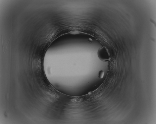 X0000091890700200709191218