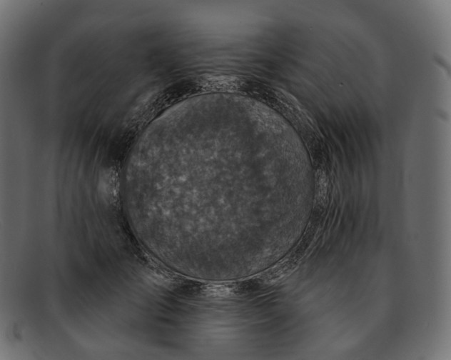 X0000091890701200709191218