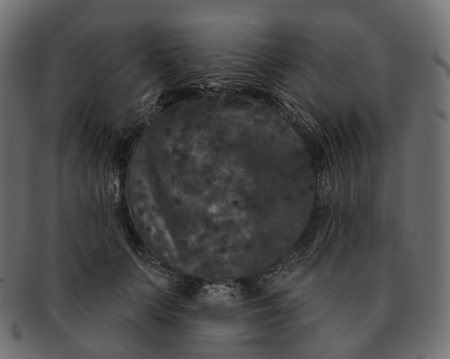 X0000091890703200709191218