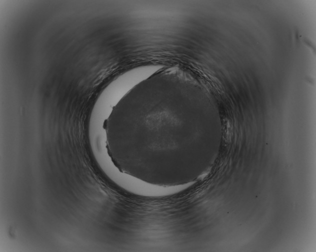 X0000091890704200709191218