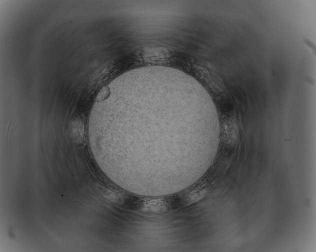 X0000091890705200709191218