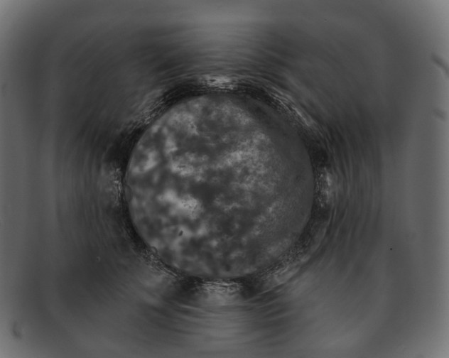 X0000091890707200709191218