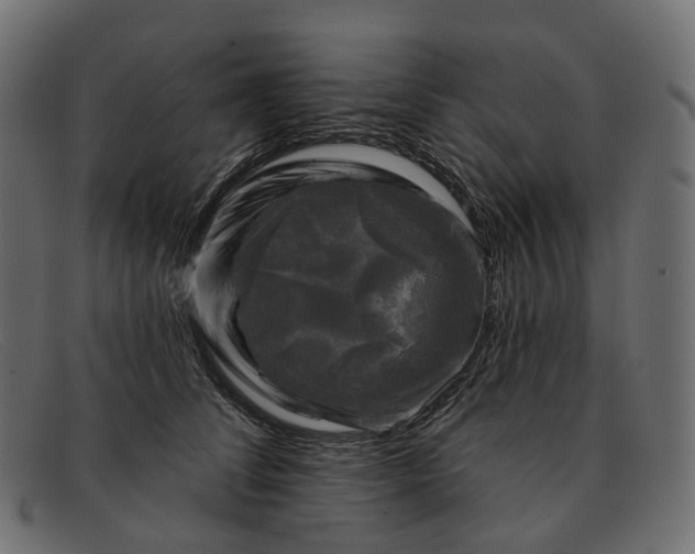 X0000091890708200709191218