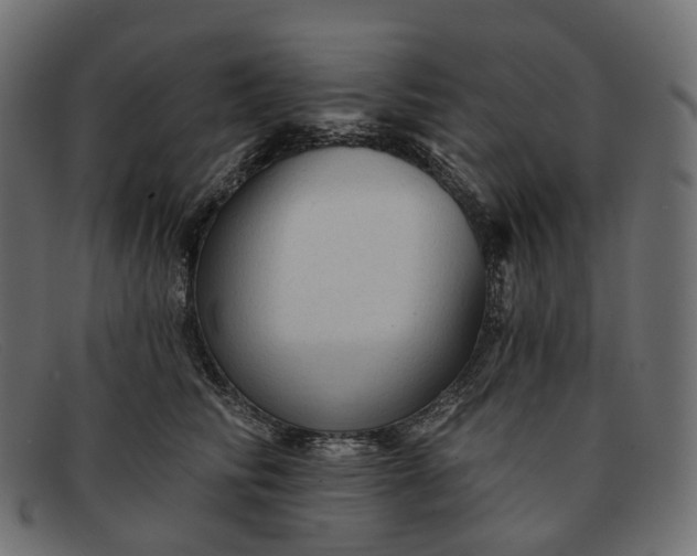 X0000091890710200709191218