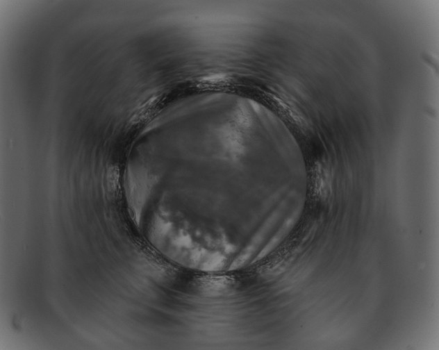 X0000091890711200709191218