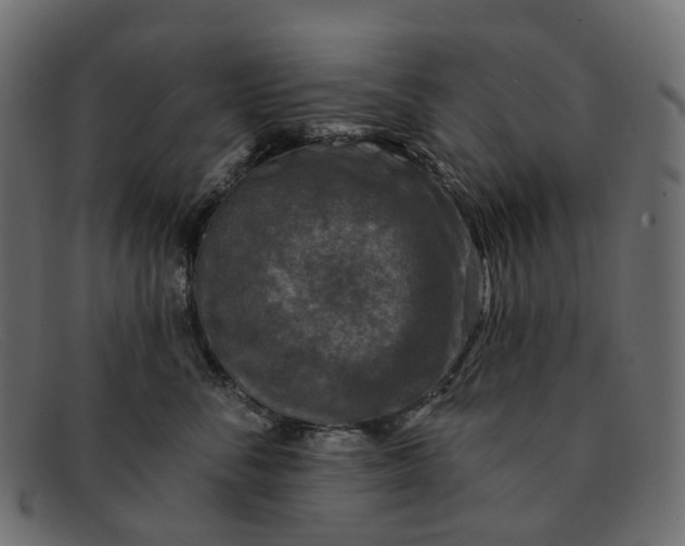 X0000091890716200709191217