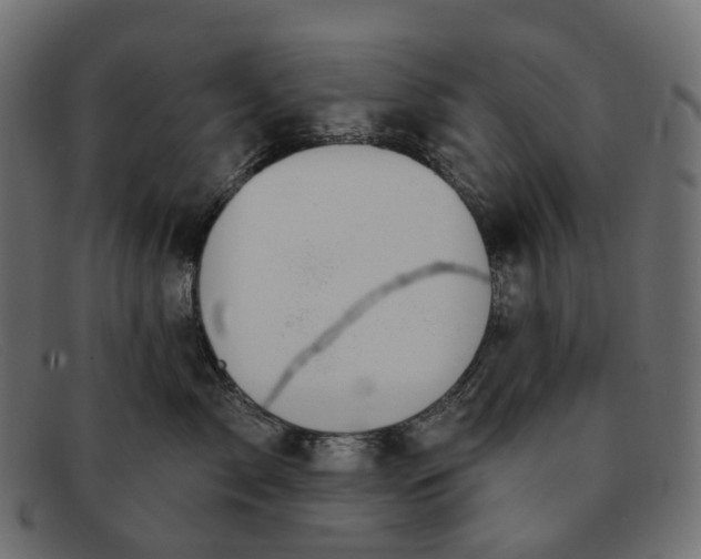 X0000091890717200709191217
