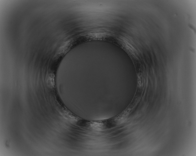 X0000091890718200709191217