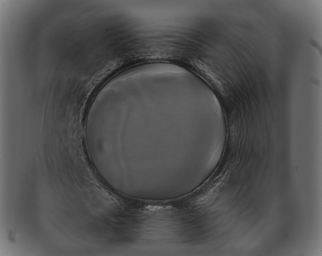 X0000091890721200709191217