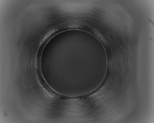 X0000091890722200709191217