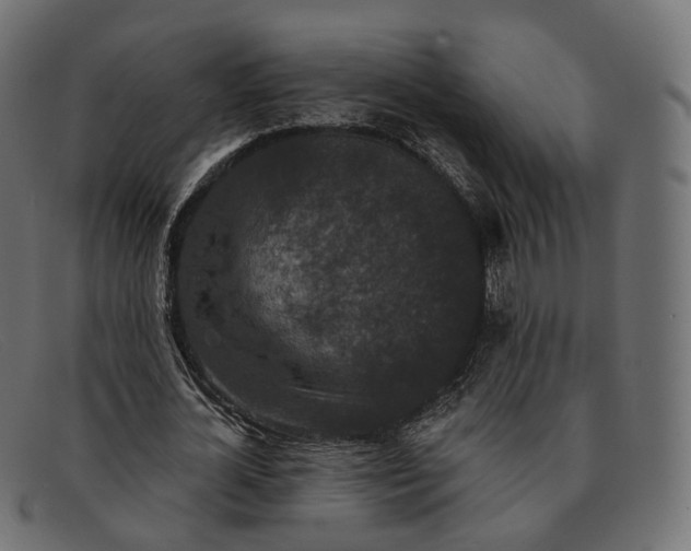 X0000091890724200709191217