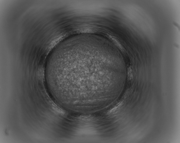 X0000091890725200709191217