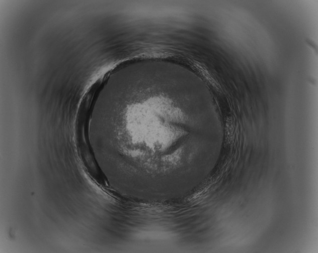 X0000091890726200709191217
