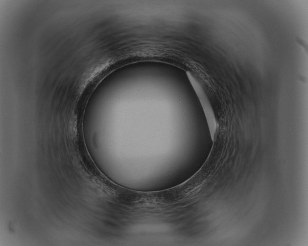 X0000091890727200709191217