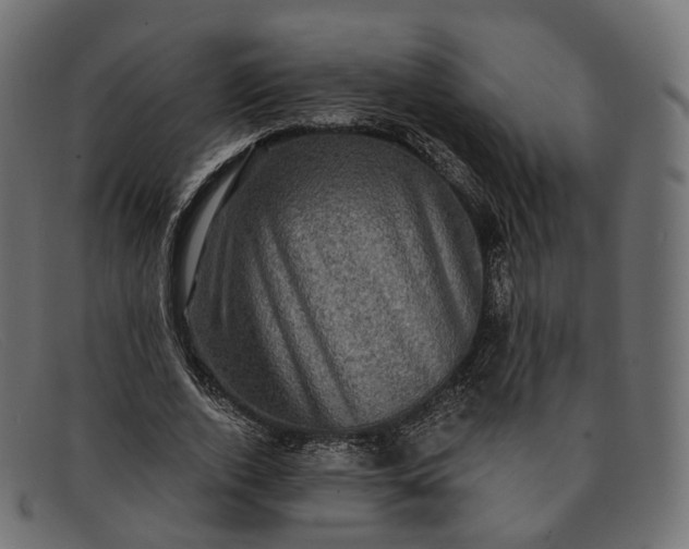 X0000091890728200709191217
