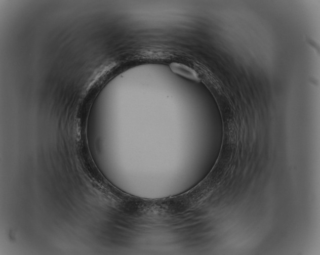 X0000091890731200709191217