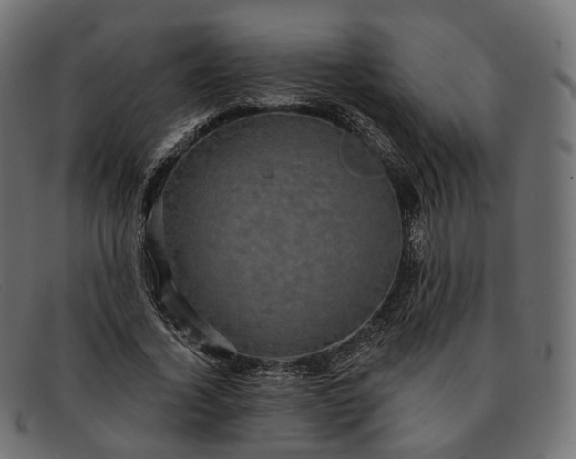 X0000091890732200709191217