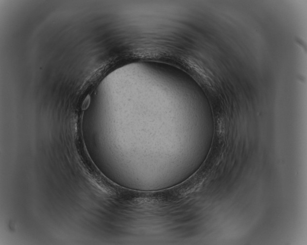 X0000091890733200709191217