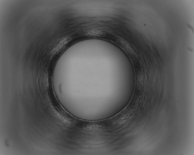 X0000091890734200709191217