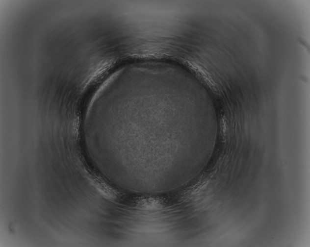 X0000091890735200709191217