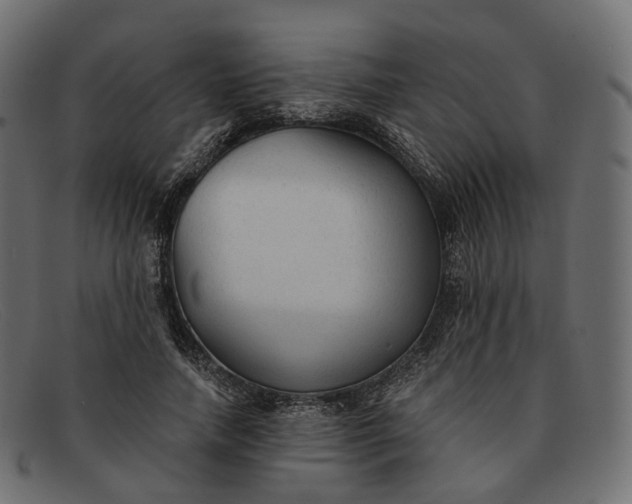 X0000091890738200709191217